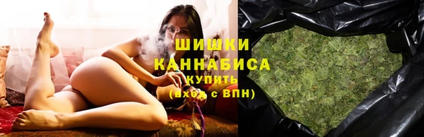 гидропоника Горнозаводск