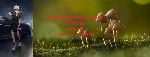 герыч Гусь-Хрустальный