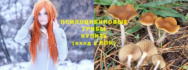 метадон Гусиноозёрск