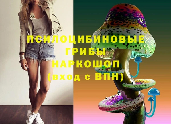 метадон Гусиноозёрск