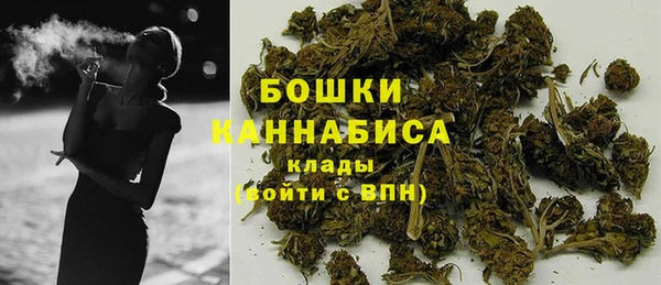 гидропоника Горнозаводск