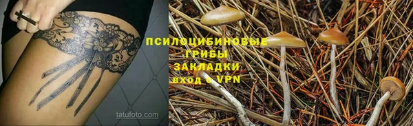 метадон Гусиноозёрск